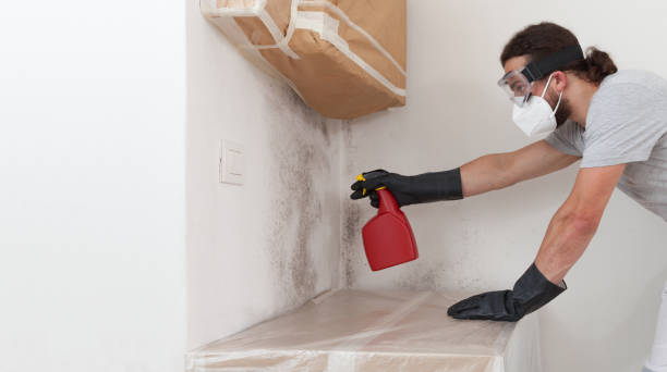 Professional Black Mold Remediation technician working in Mont Clare, PA